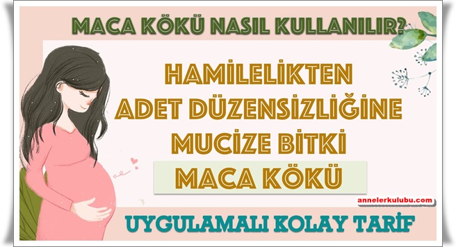 www.annelerkulubu.com