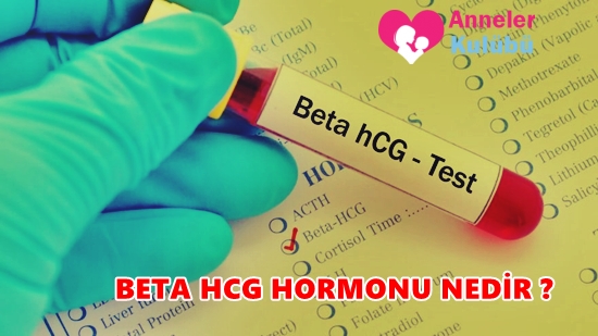 beta-hcg-hormonu-nedir.jpg